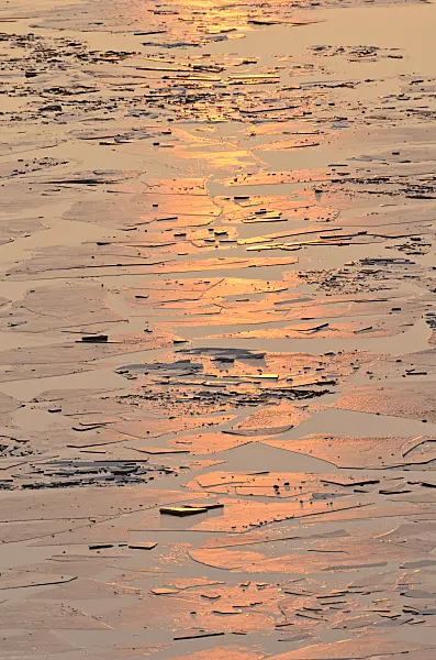 565009 - Ice floes in sunset light