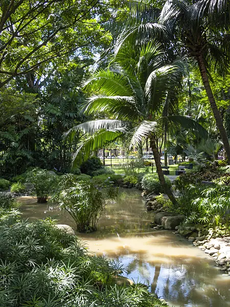 411093 - Istana Park, Singapore