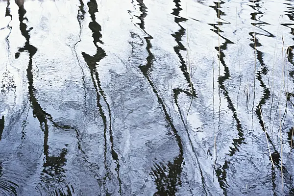 364002 - Jagged reflections in slightly moved water
