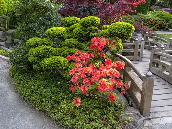 437311 - Japanese Garden, Freiburg im Breisgau, Germany