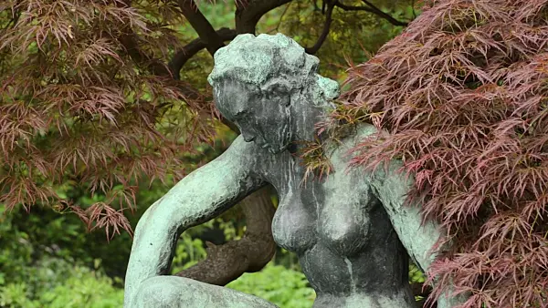 496118 - Japanese maple (Acer palmatum 'Dissectum Garnet') with Kneeling Women by Georg Kolbe