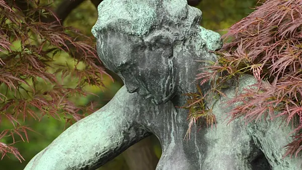 496119 - Japanese maple (Acer palmatum 'Dissectum Garnet') with Kneeling Women by Georg Kolbe