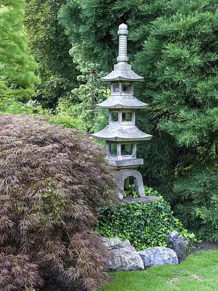 427082 - Japanese maple (Acer palmatum) in a Japanese garden with a three-storey stone lantern