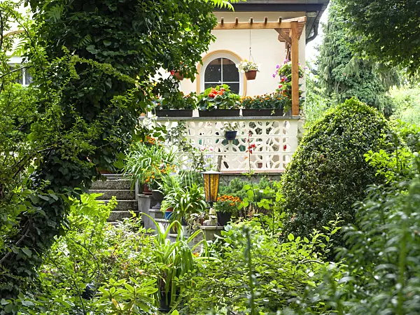 474391 - Jardin de devant avec plantation dense et escalier en pierre menant à une véranda avec pergola d'une maison individuelle