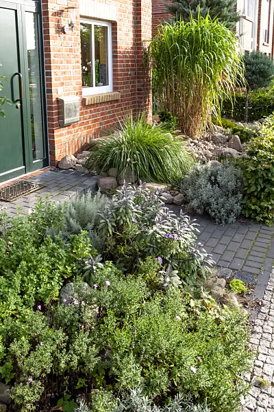 464043 - Jardin de devant d'un lotissement de maisons mitoyennes