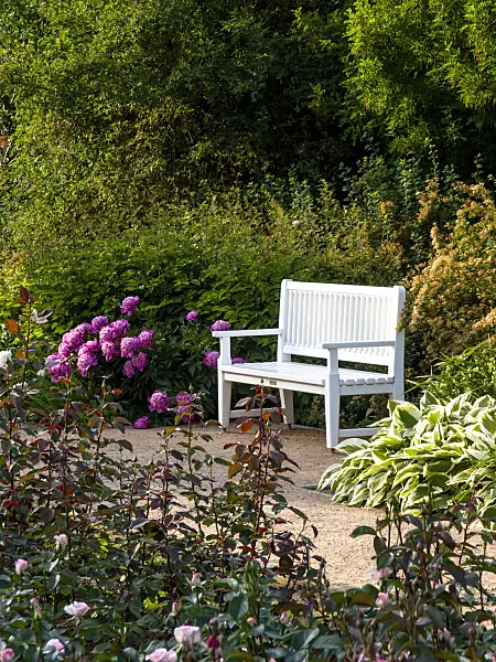 461020 - Jardin de plantes vivaces avec un banc de jardin