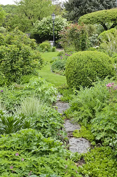 544122 - Jardin de plantes vivaces printanier