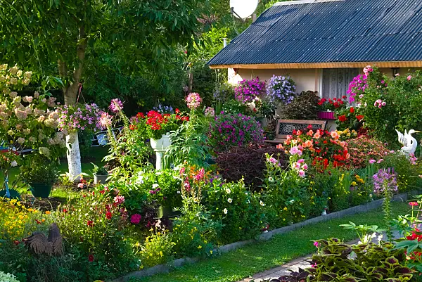 670018 - Jardin familial avec des fleurs d'été