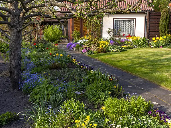 459079 - Jardin familial avec des plate-bandes au printemps