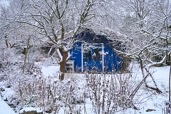 670003 - Jardin naturel en hiver