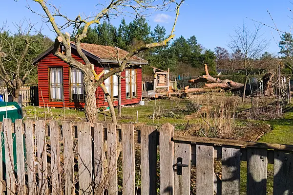 670026 - Jardin naturel en hiver