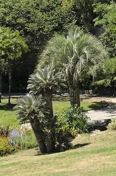 557293 - Jardins de la Fontaine, Nîmes, France