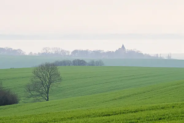 377042 - Jasmund, Rügen, Allemagne