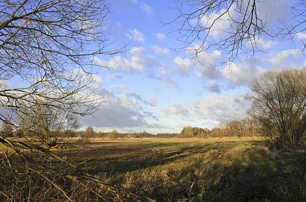 526037 - Kaniswaller Wiesen, Gosener Wiesen Nature Reserve, Berlin, Germany