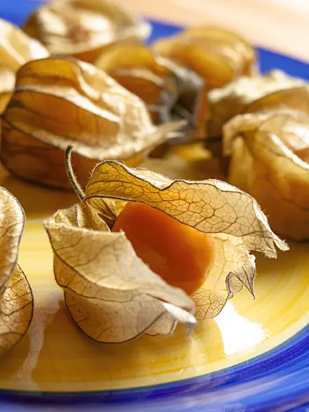 436106 - Kapstachelbeere (Physalis peruviana)
