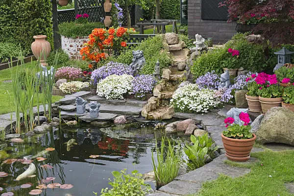 532021 - Koi pond with rhododendrons (Rhododendron), garden phlox (Phlox paniculata) and pelargoniums (Pelargonium)