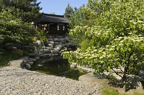 496136 - Korean Garden, Erholungspark Marzahn, Berlin, Germany