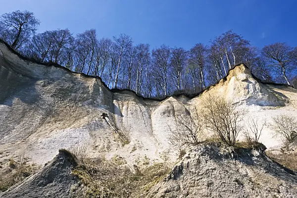 378005 - Kreideküste, Nationalpark Jasmund, Rügen, Deutschland