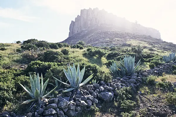 363066 - La Fortalezza, Chipude, La Gomera, Spain