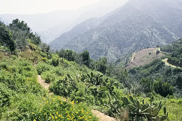 363049 - La Meseta, Vallehermoso, La Gomera, Spain