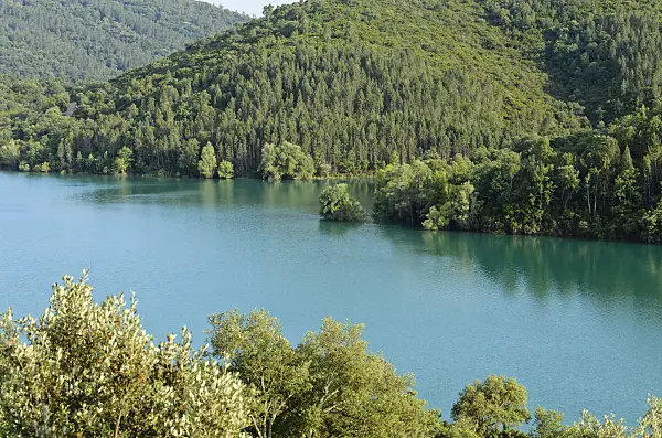 569001 - Lac de Saint-Cassien, Provence, France