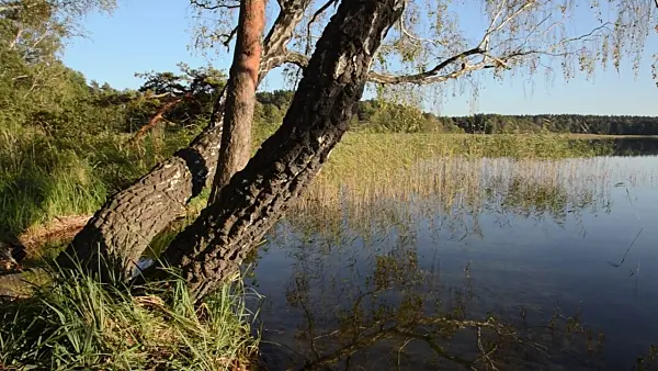 500248 - Lake Feisnecksee in autumn, Müritz National Park, Germany