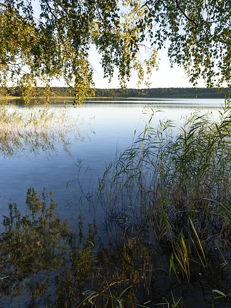 428370 - Lake Feisnecksee, Müritz National Park, Germany