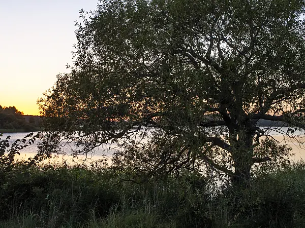 428371 - Lake Feisnecksee, Müritz National Park, Germany