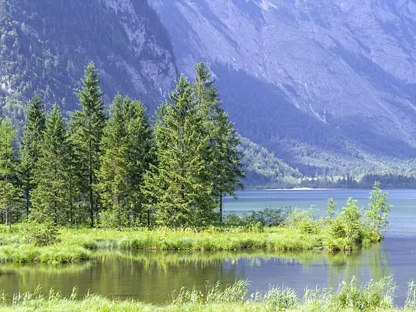 439152 - Lake Königssee, Berchtesgaden National Park, Germany