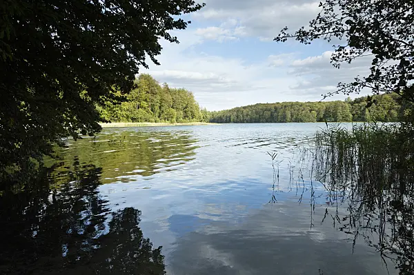 512049 - Lake Liepnitzsee, Brandenburg, Germany