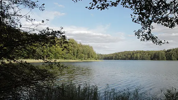 512051 - Lake Liepnitzsee, Brandenburg, Germany
