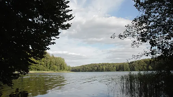 512053 - Lake Liepnitzsee, Brandenburg, Germany