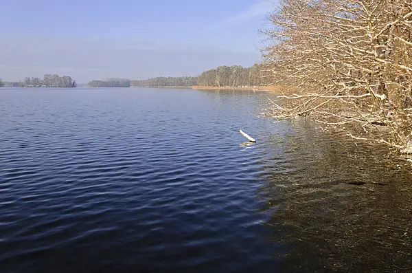 539005 - Langer See, Berlin, Germany
