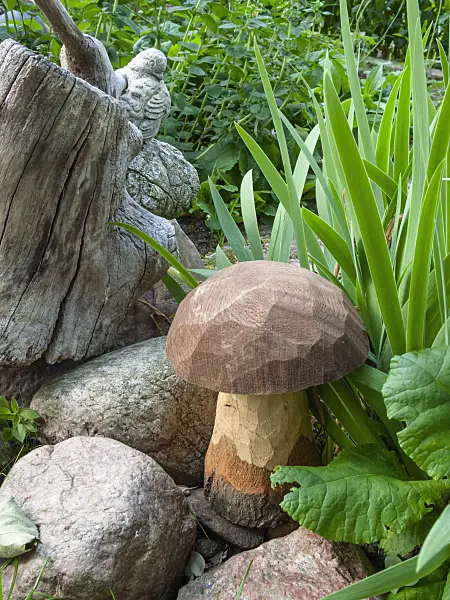 402016 - Large carved wood mushroom in a decorative garden