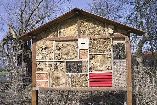 566083 - Large insect hotel with a gabled roof and perforated trunks, branches and bricks, pine cones and straw