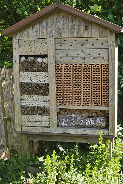 500197 - Large nesting aid for insects with perforated bricks, branches and tree trunks under a gable roof