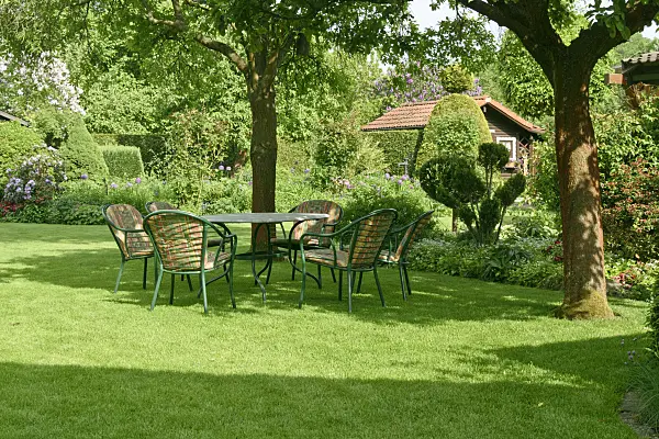 556059 - Lawn with seating area