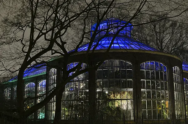 564001 - Lighted greenhouse at Illuminade, Amsterdam, Netherlands