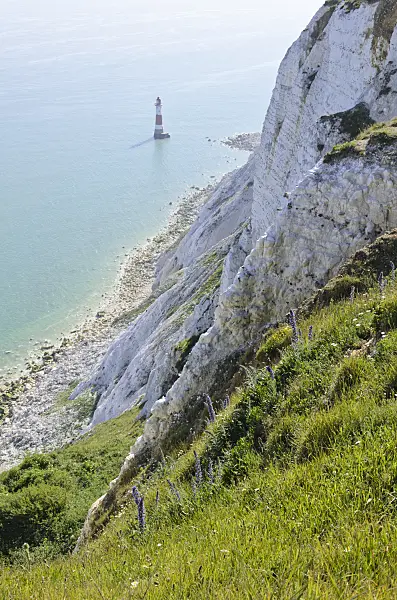 533365 - Lighthouse and chalk cliff, Beachy Head, South Downs National Park, Great Britain