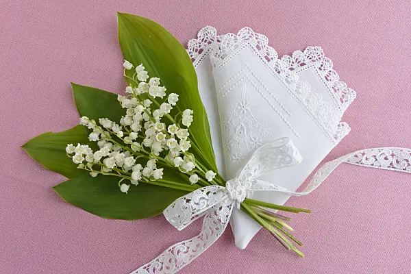 558258 - Lily of the valley (Convallaria majalis)