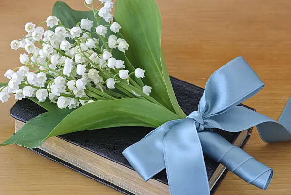 481019 - Lily of the valley (Convallaria majalis) with turquoise ribbon on a hymnal