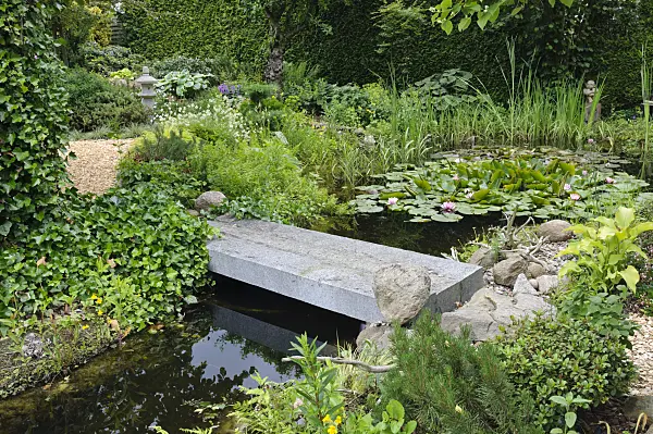 473081 - Lily pond with stone bridge in an idyllic garden