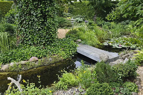 473086 - Lily pond with stone bridge in an idyllic garden