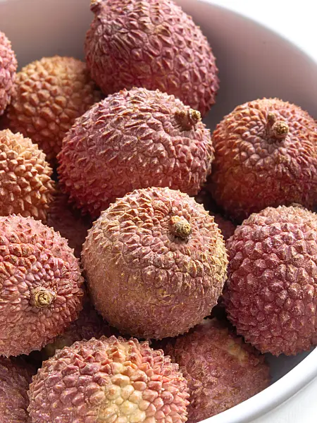 434009 - Litchi de Chine (Litchi sinensis)