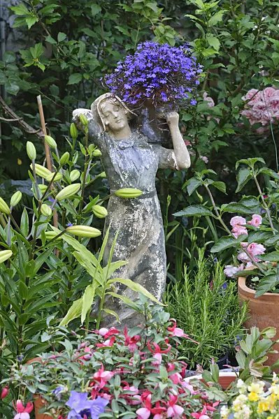 473242 - Lobelia (Lobelia) with female figure