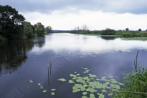 367010 - Lower Oder Valley National Park, Germany