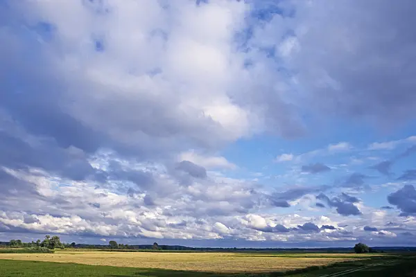 367011 - Lower Oder Valley National Park, Germany