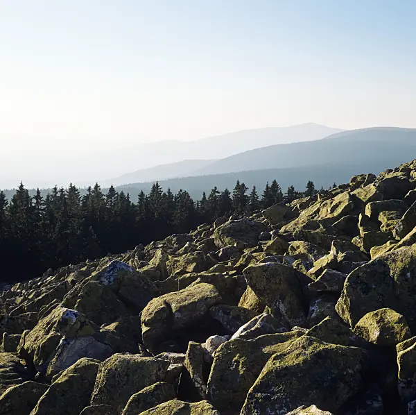 238003 - Lusen, Bavarian Forest National Park, Germany