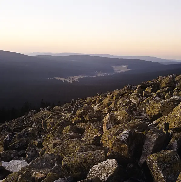 238004 - Lusen, Bavarian Forest National Park, Germany