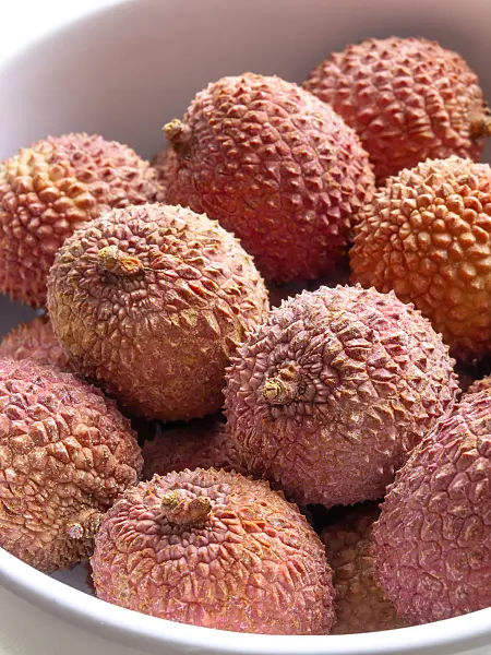 434010 - Lychee (Litchi sinensis)
